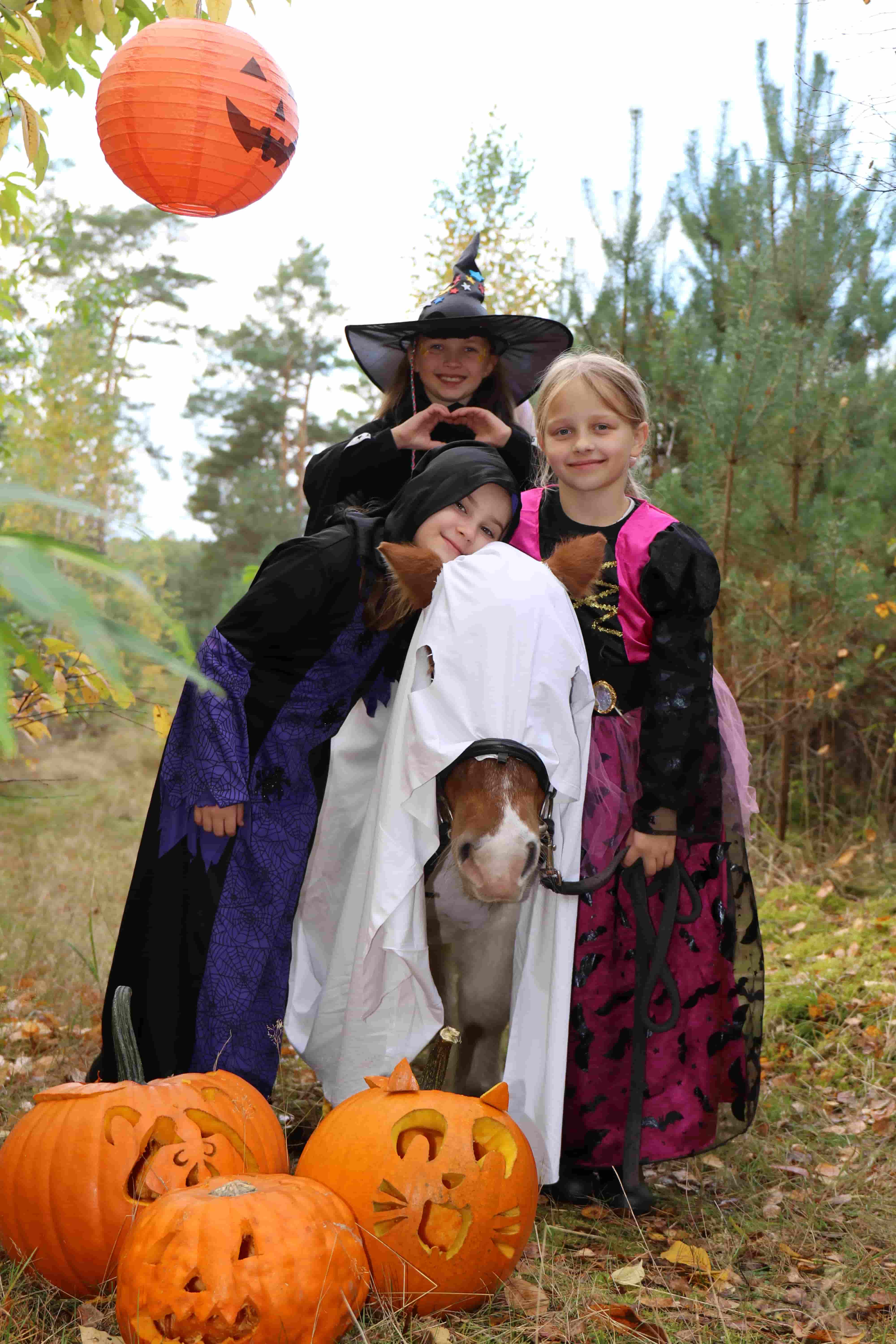 Reitferien Impression