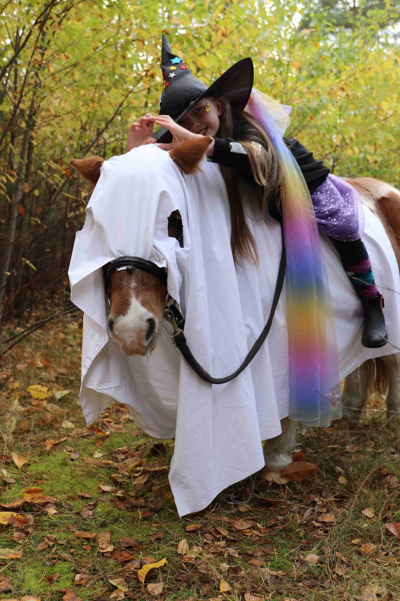 Reitferien Impression