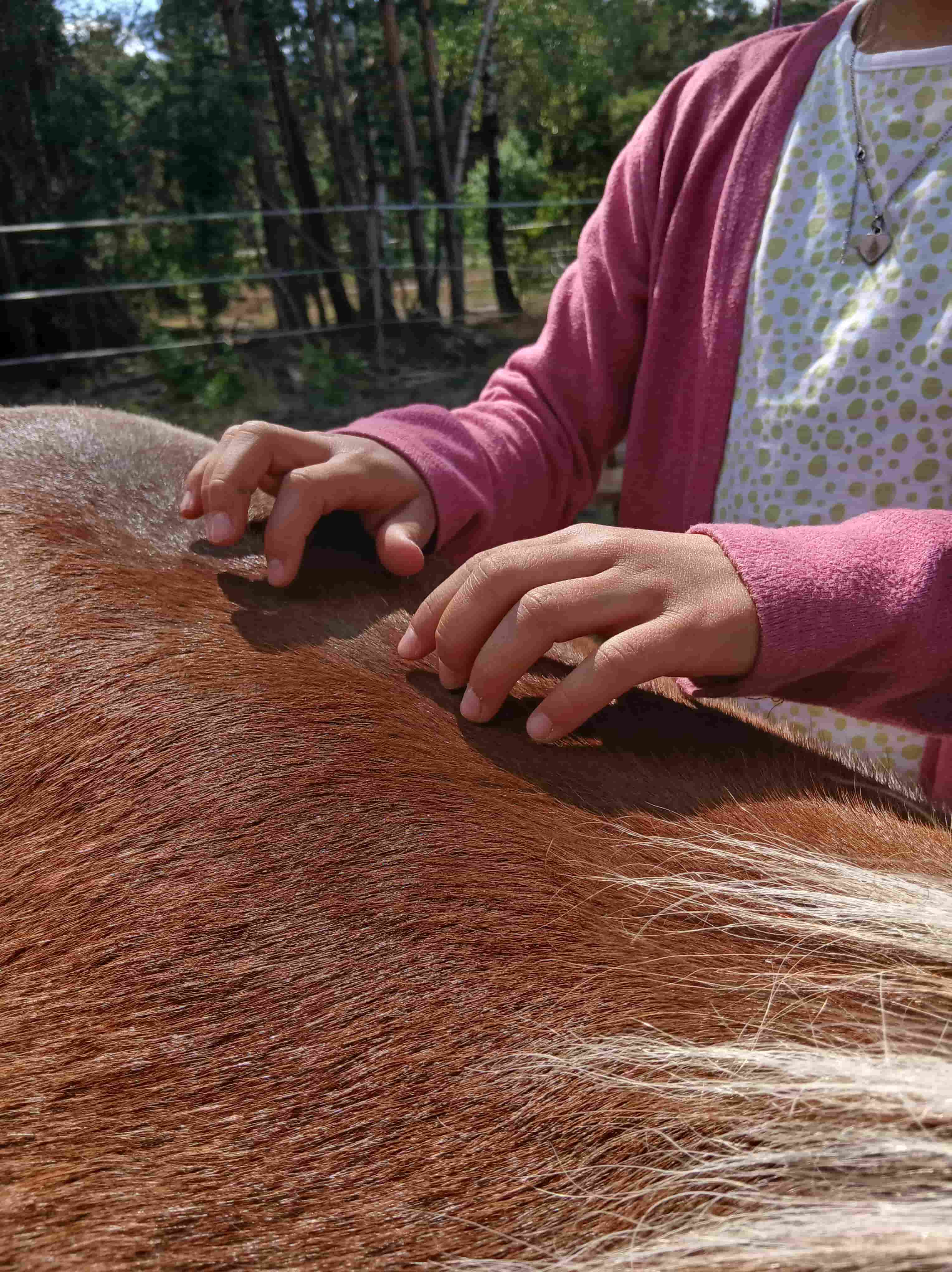 Konzentrationstraining Impression