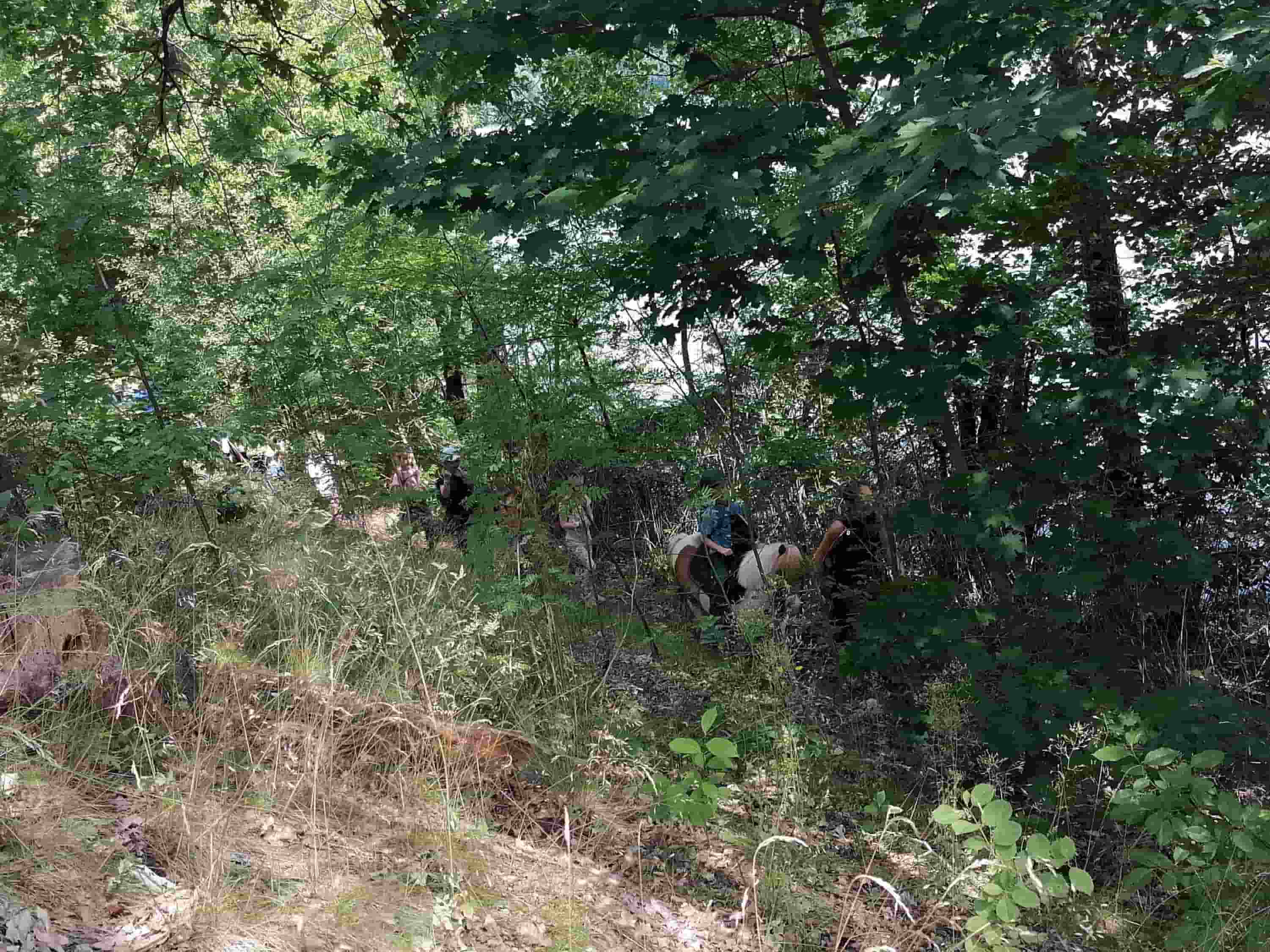 Naturpädagogik Impression