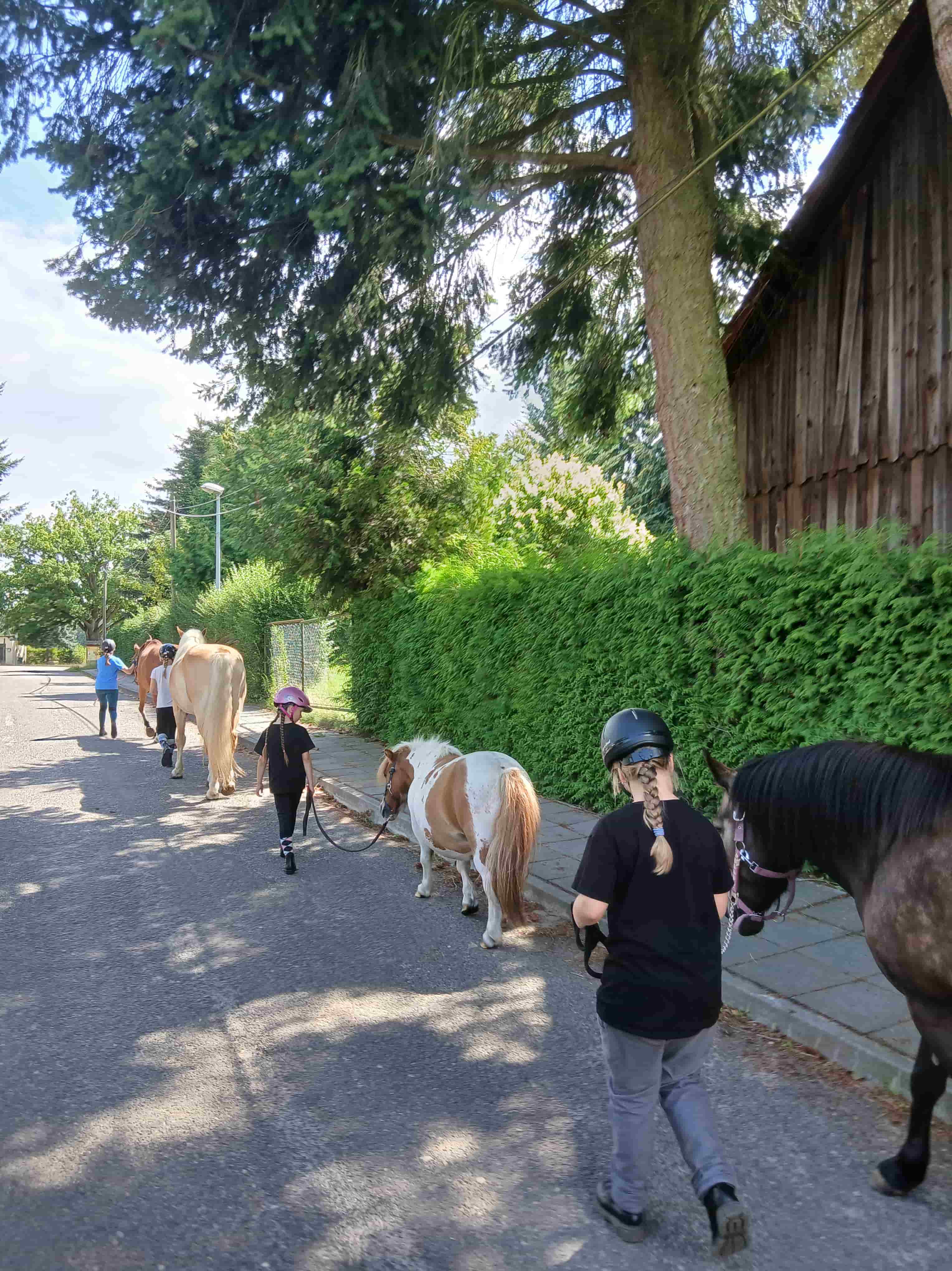 Reitferien Impression