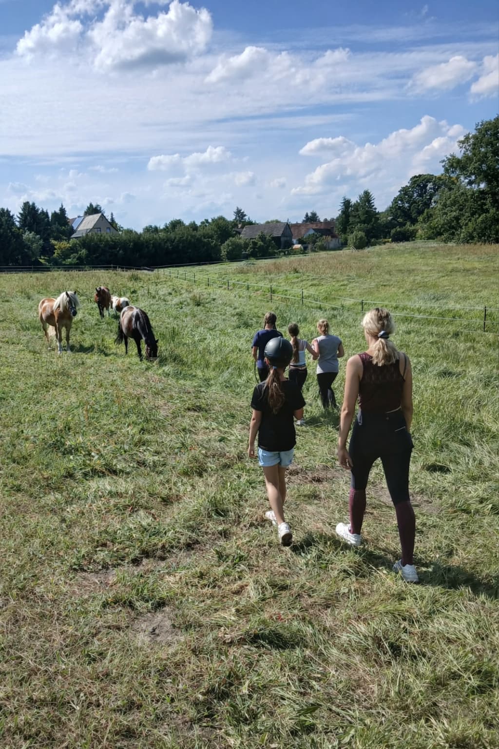 Reitferien Impression