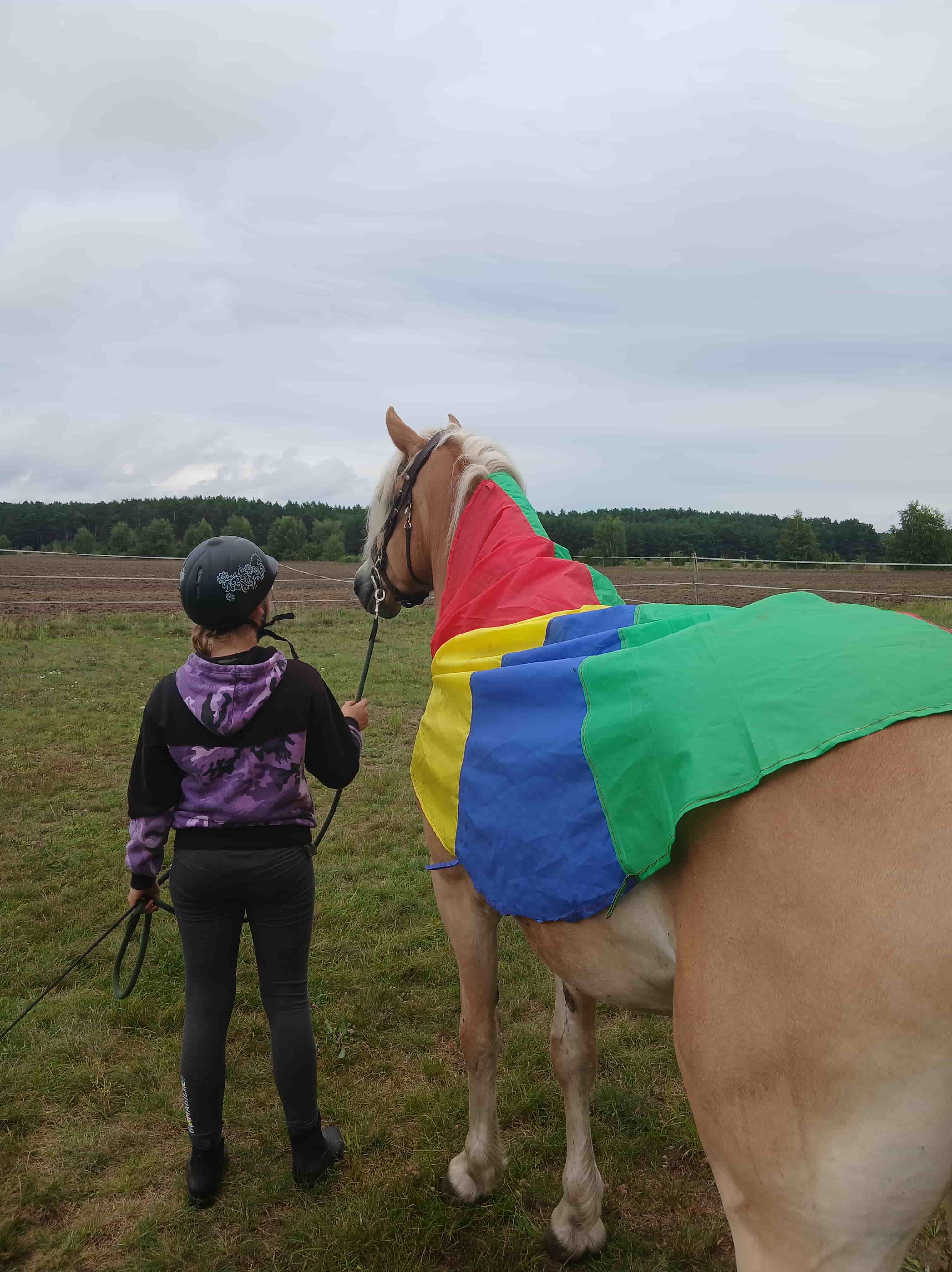 Reitferien Impression