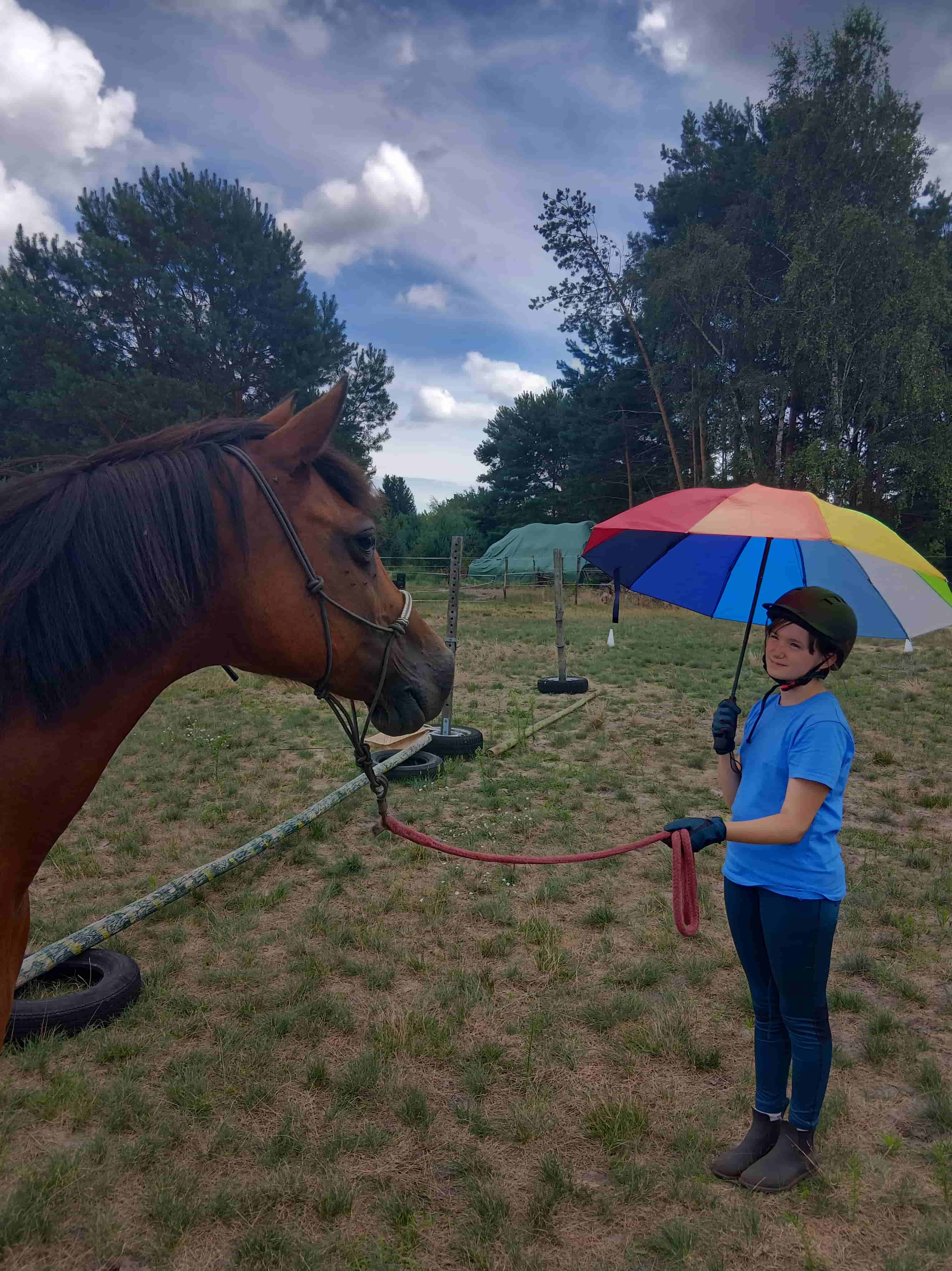 Reitferien Impression