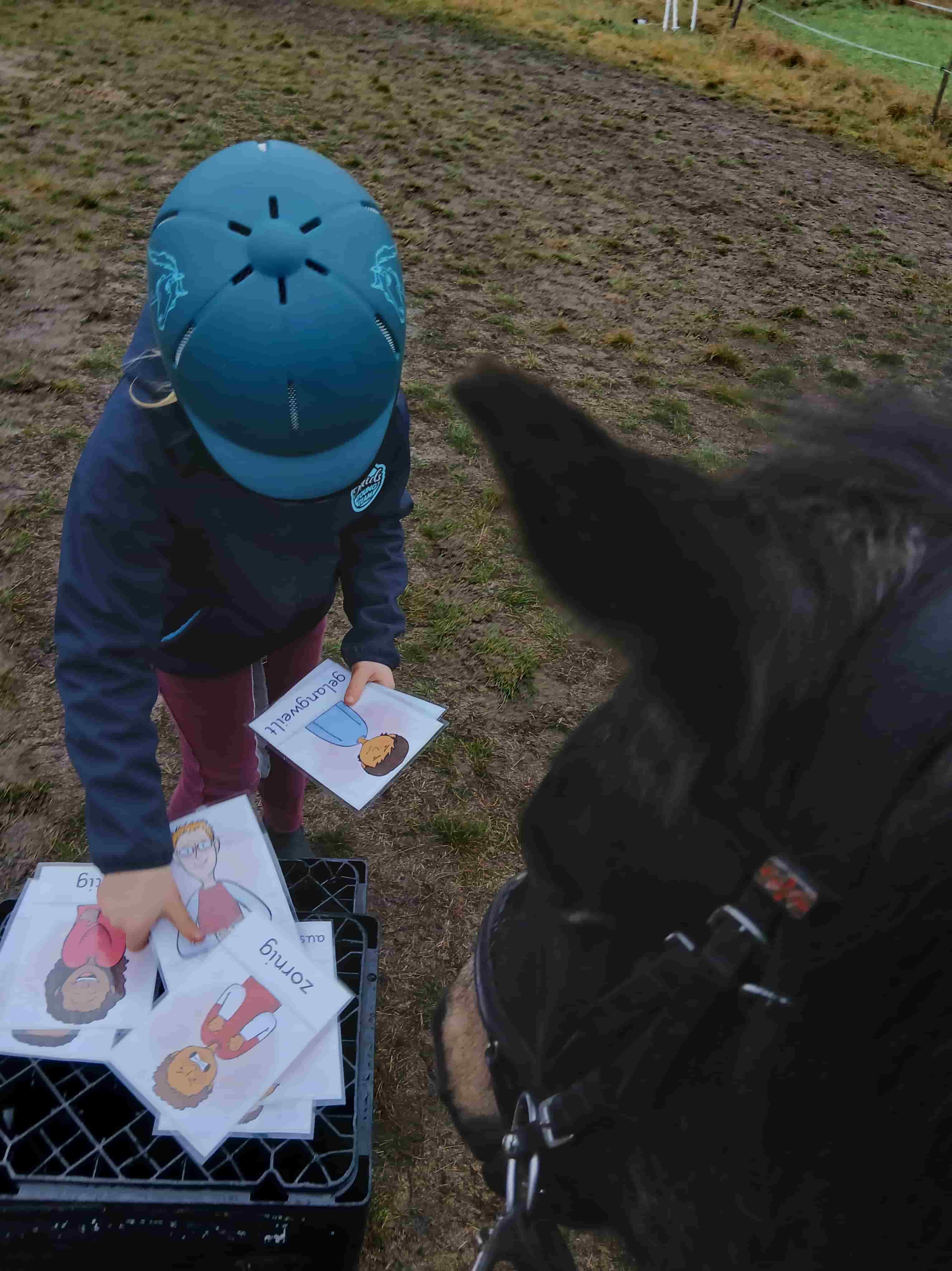 Reittherapie Impression