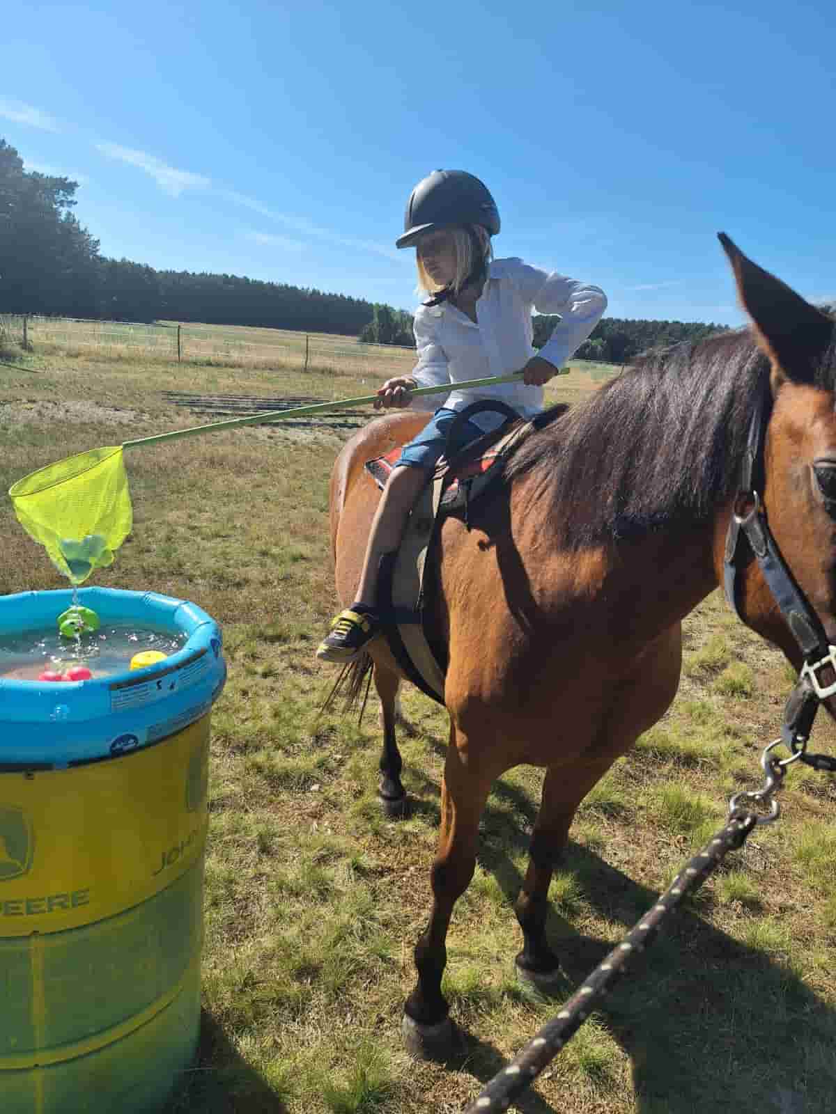 Reittherapie Impression