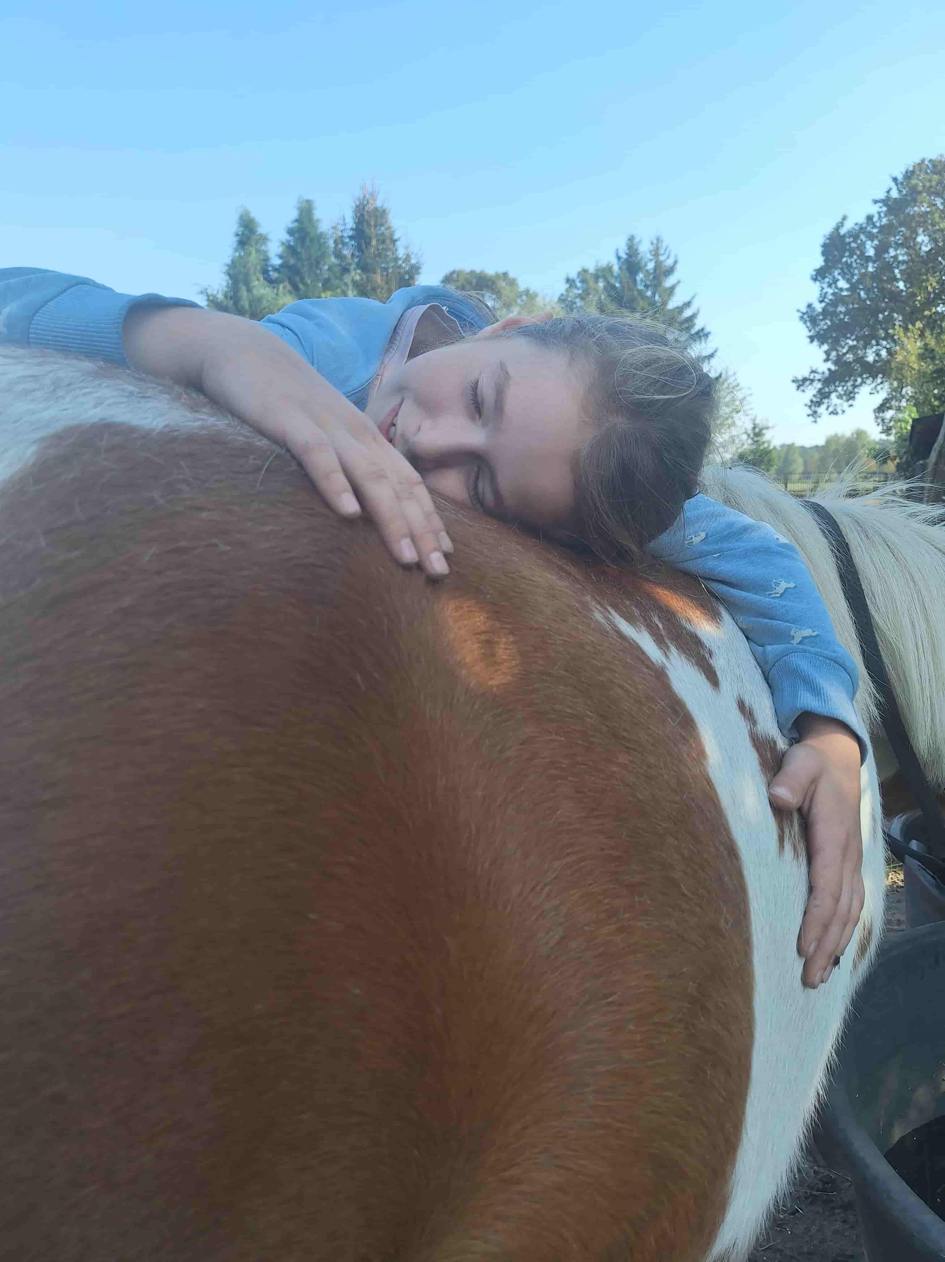 Reittherapie Impression