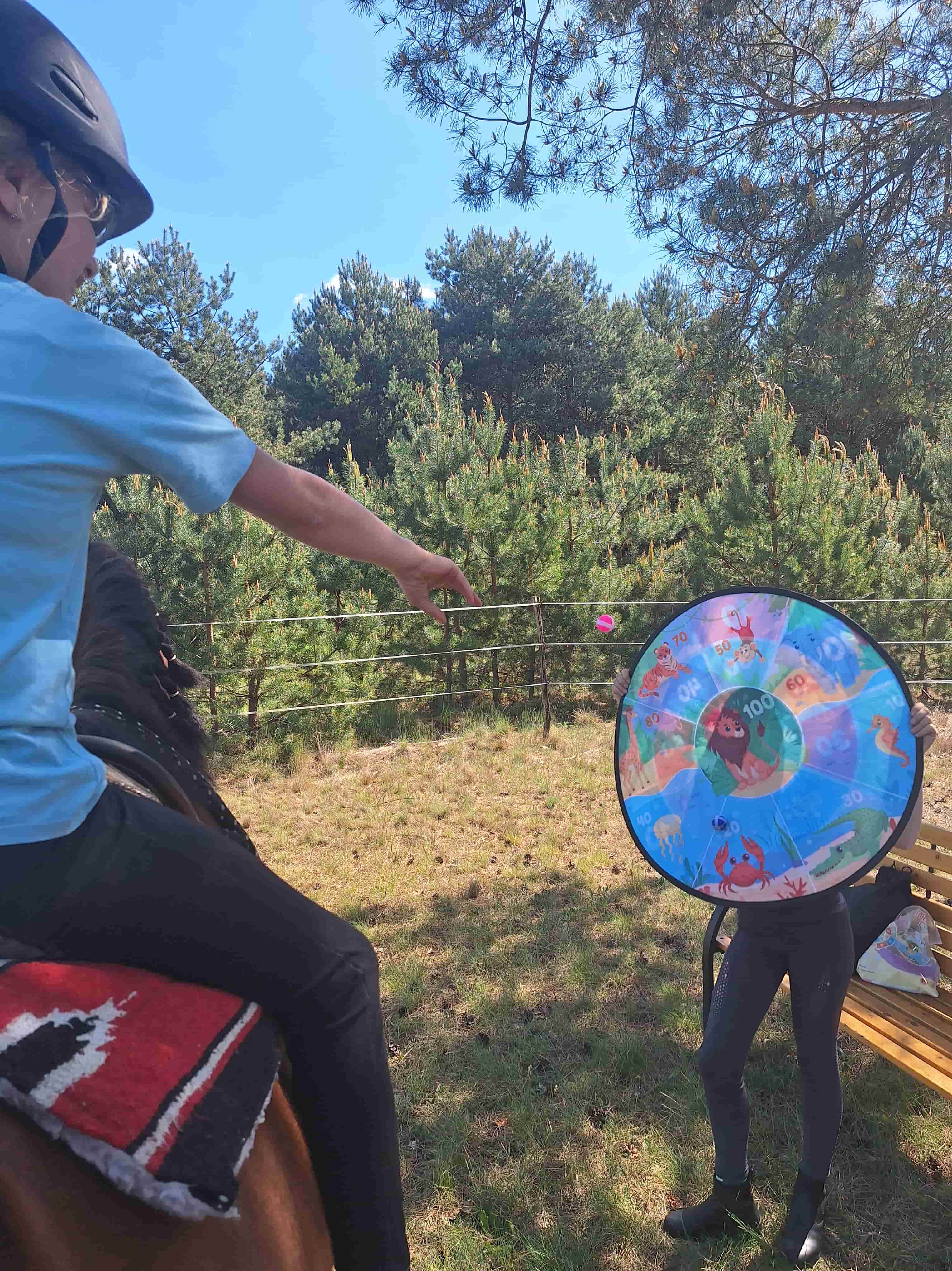 Reittherapie Impression