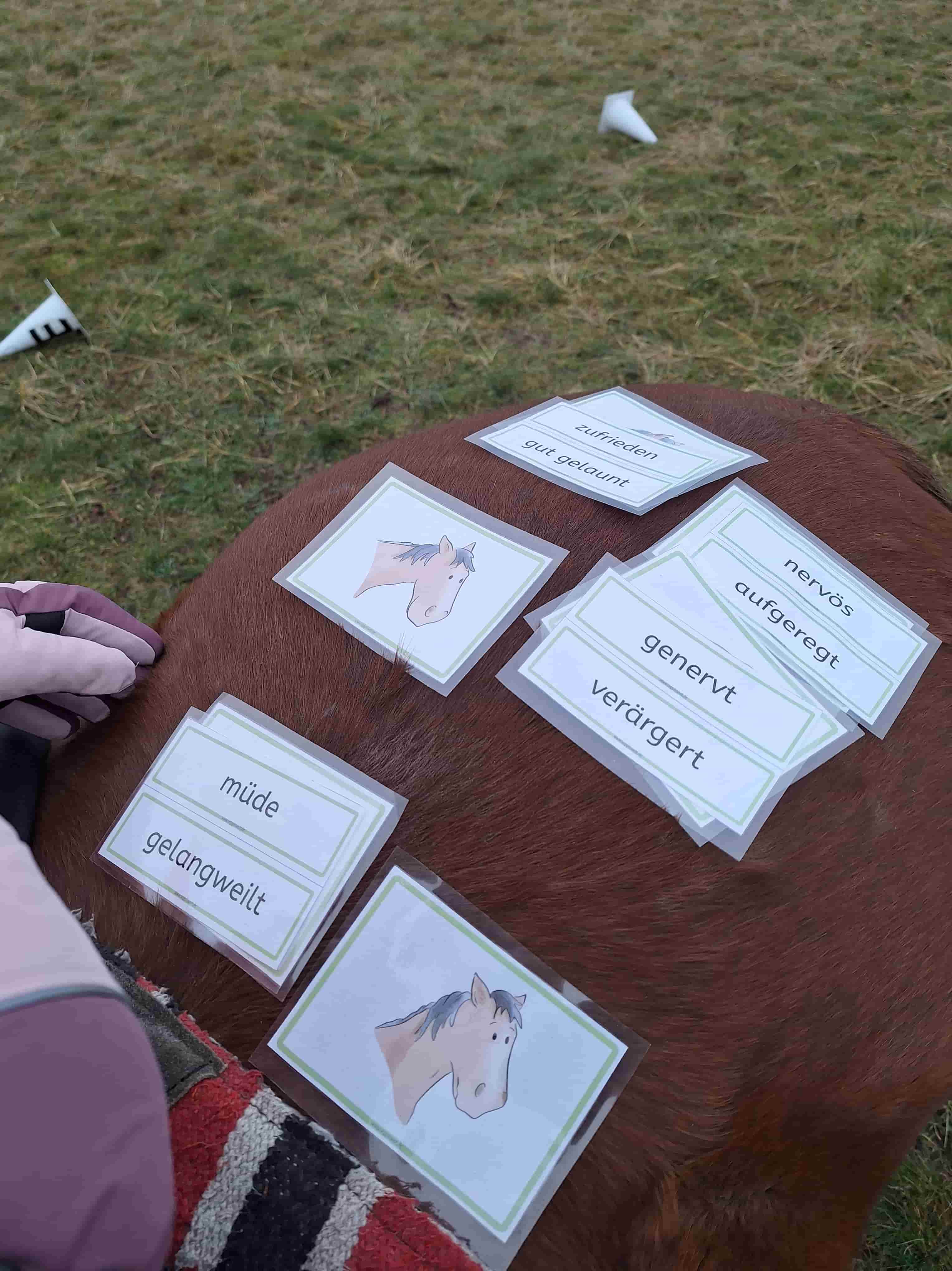 Reittherapie Impression