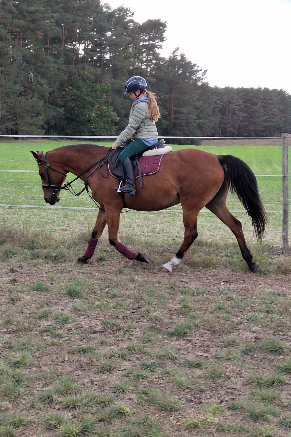 Reitunterricht Impression