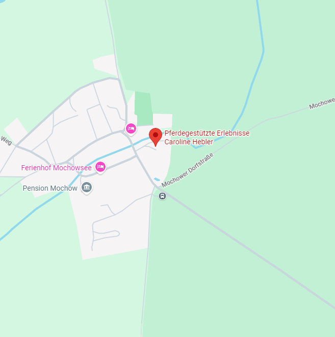 Kartenvorschau Standort Mochower Dorfstraße 6, 15913 Schwielochsee