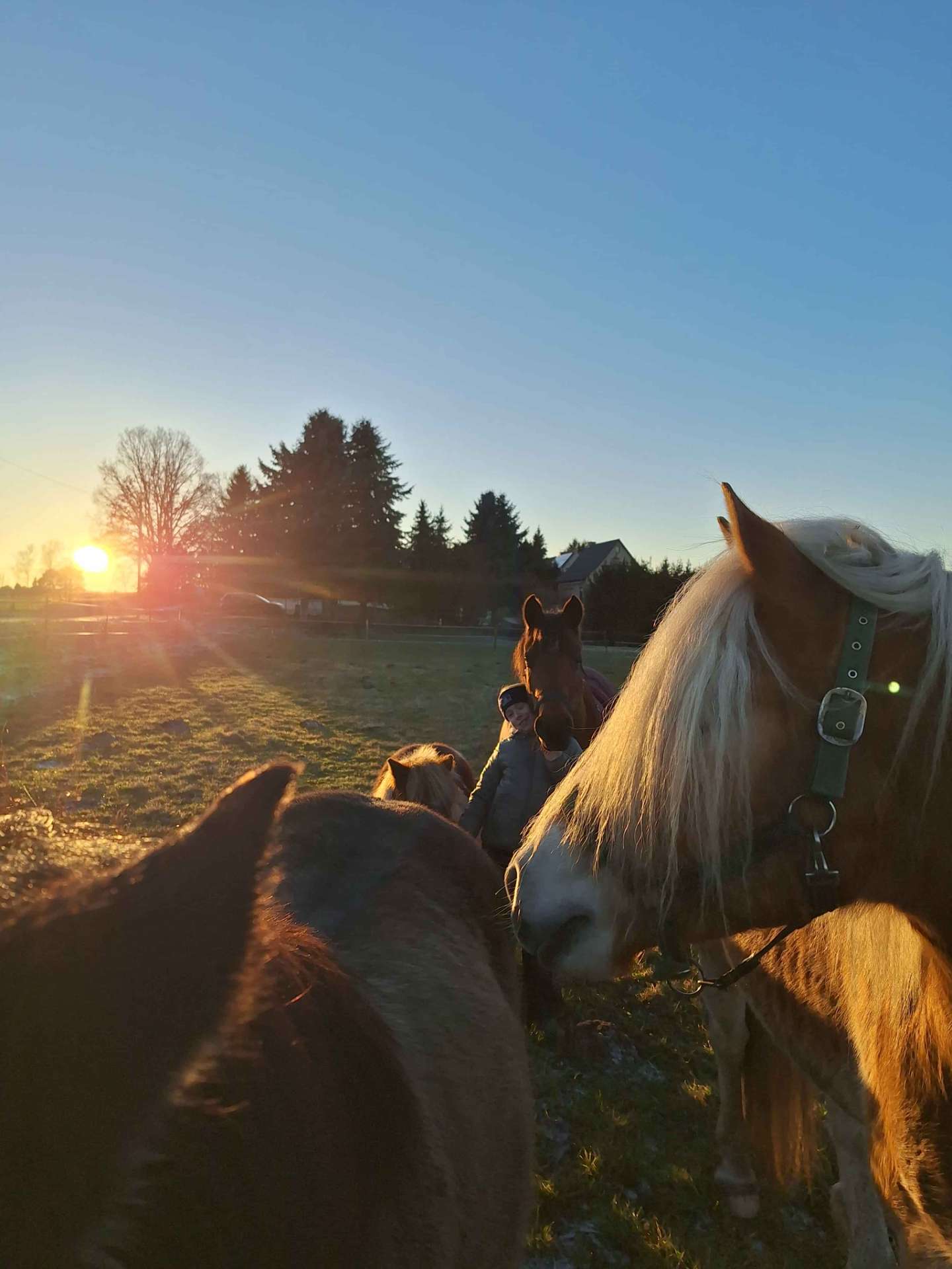 Pferd und Mensch Interaktion